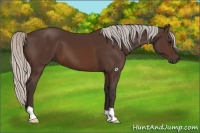 Horse Color:Silver Brown 