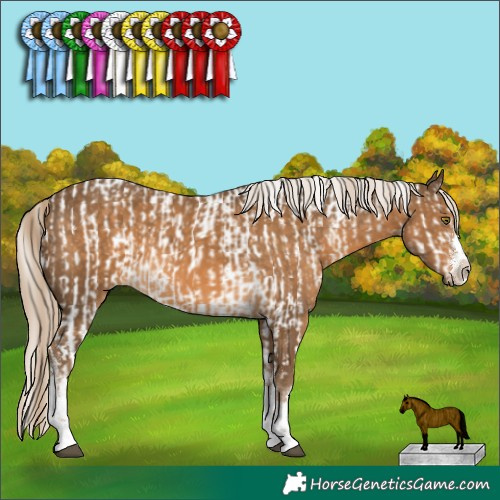 Horse Color:White Spotted Chocolate Palomino Varnish  and White Spotted Chocolate Palomino 