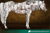 Horse Color:Silver Black Tobiano  and White Spotted Silver Black 