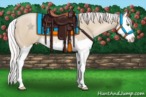 Horse Color:Silver Smoky Black Pearl Sabino Splash