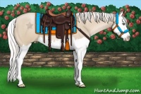 Horse Color:Silver Smoky Black Pearl Sabino Splash