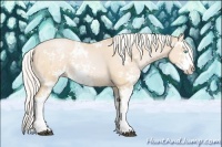 Horse Color:Silver Buckskin Pearl Sabino 