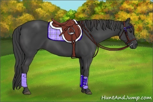 Horse Color:Smoky Black 