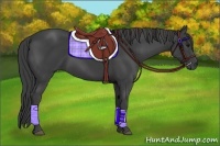 Horse Color:Smoky Black
