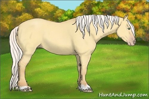 Horse Color:Silver Amber Cream Champagne Dun