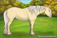 Horse Color:Silver Amber Cream Champagne Dun