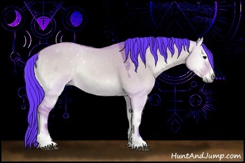Horse Color:Watercolor Bay Onyx Sabino Rabicano