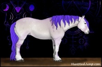 Horse Color:Watercolor Bay Onyx Sabino Rabicano 