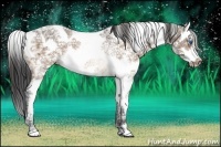 Horse Color:Bay Ice Sabino Splash Rabicano 