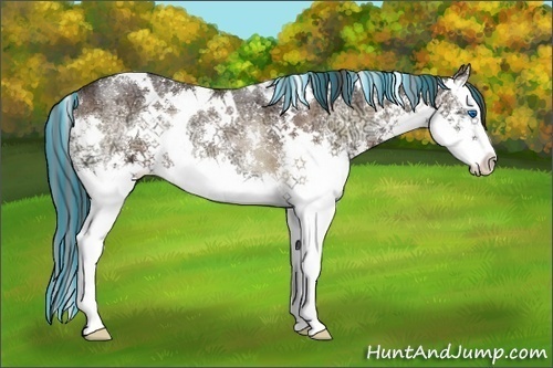 Horse Color:Painted White Spotted Bay Ice Onyx Splash Rabicano