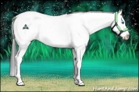 Horse Color:Bay Ice Sabino Splash Rabicano