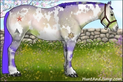 Horse Color:Watercolor White Spotted Bay Onyx