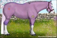 Horse Color:Watercolor Silver Grullo Splash Rabicano