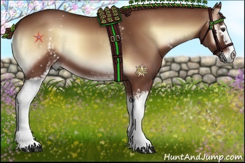 Horse Color:White Spotted Red Onyx 