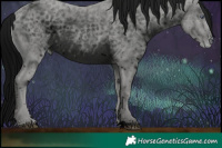 Horse Color:ERROR: UNKNOWN ANOMALY