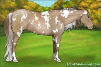 Horse Color:White Spotted Black Pearl 
