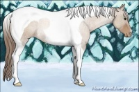 Horse Color:Black Pearl Tobiano Rabicano 