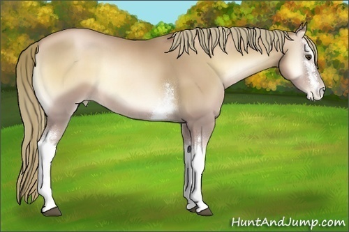 Horse Color:White Spotted Red Onyx Pearl