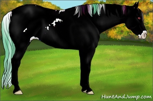 Horse Color:Watercolor Classic Champagne Chinchilla Ice Sabino