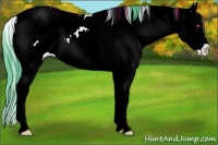 Horse Color:Watercolor Classic Champagne Chinchilla Ice Sabino