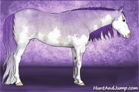 Horse Color:Watercolor Bay Roan Splash 