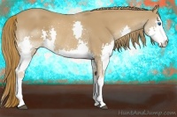 Horse Color:Chestnut Splash 
