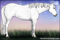 Horse Color:Gray Bay Splash Frame