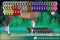 Horse Color:Brown Dun Splash Tobiano Rabicano 