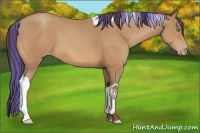 Horse Color:Painted Amber Champagne Tobiano