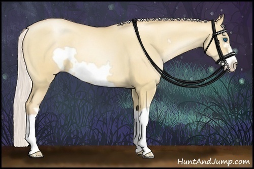 Horse Color:Silver Classic Champagne Pearl Dun Splash Frame 