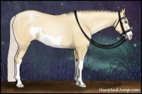 Horse Color:Silver Classic Champagne Pearl Dun Splash Frame 