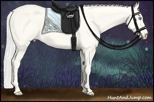 Horse Color:Cremello Dun 