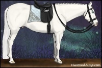 Horse Color:Cremello Dun 
