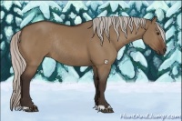 Horse Color:Silver Bay Dun Rabicano