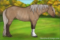 Horse Color:Silver Bay Dun Rabicano 