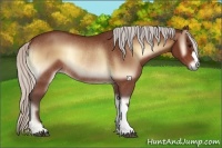 Horse Color:Silver Bay Onyx Rabicano
