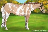 Horse Color:White Spotted Silver Bay Pearl