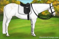 Horse Color:White Spotted Silver Classic Champagne Pearl Varnish 