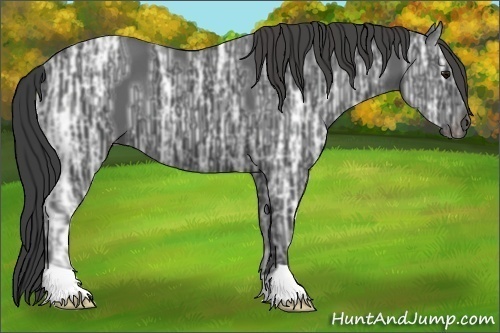 Horse Color:Smoky Black Ice 