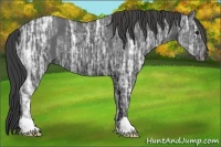 Horse Color:Smoky Black Ice 