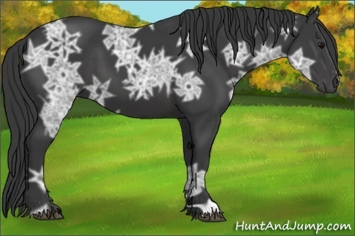 Horse Color:Smoky Black Ice