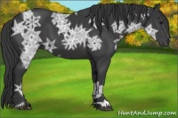 Horse Color:Smoky Black Ice 