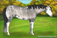 Horse Color:Blue Onyx Ice Splash 