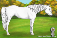 Horse Color:Gray Bay 