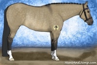 Horse Color:Buckskin Dun Rabicano