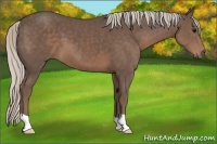 Horse Color:Silver Black