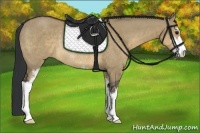 Horse Color:Brown Dun Sabino Rabicano
