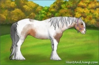 Horse Color:Buckskin Sabino Tobiano 