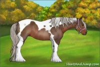 Horse Color:Silver Brown Tobiano Rabicano