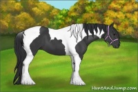 Horse Color:Black Tobiano 